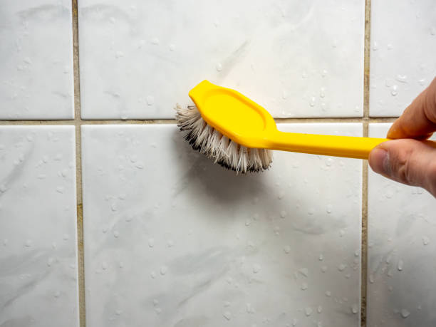 Wadsworth, IL Mold Removal Company