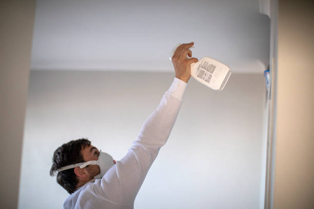 Best Mold Damage Repair  in Wadsworth, IL