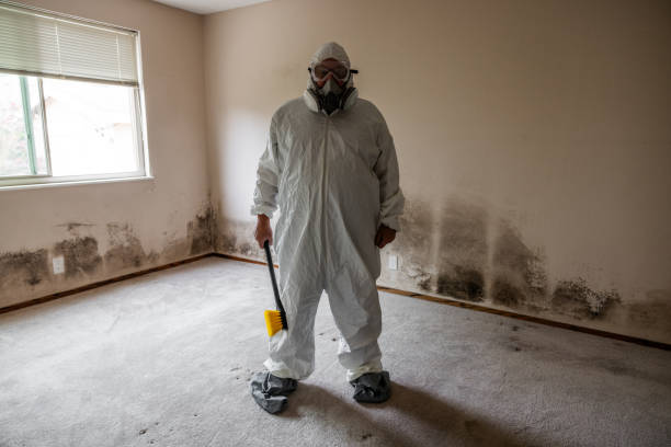 Best Professional Mold Removal  in Wadsworth, IL